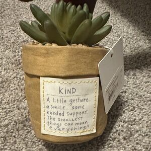 Kindness plant 🪴 great gift 🎁 Demdaco from Barnes & noble